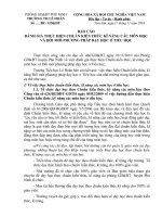 Báo cáo đánh giá thực hiện chuẩn KTKN 2010