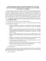 LẬP KẾ HOẠCH ỨNG DỤNG THƯƠNG MẠI ĐIỆN TỬ VÀO VIỆC QUẢNG BÁ THƯƠNG HIỆU CHO NGÀNH HÀNG GẠO XUẤT KHẨU CỦA CÔNG TY ANGIMEX
