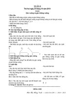 Giáo án lớp 3 tuần 9 - CKT - V