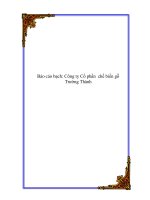 Báo cáo bạch: Công ty Cổ phần chế biến gỗ Trường Thành