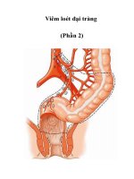 Viêm loét đại tràng (Phần 2)