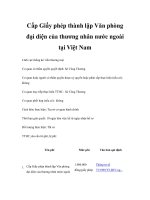 Cấp Giấy phép thành lập Văn phòng đại diện của thương nhân nước ngoài tại Việt Nam