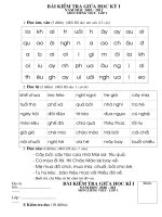 Đề khảo sát giữa kỳ 1 2010-2011