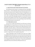 CƠ SỞ LÝ LUẬN VỀ  MỞ RỘNG TÍN DỤNG NGÂN HÀNG ĐỐI VỚI HỘ SẢN XUẤT