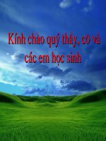 tác dụng tư của dòng điện - từ trường