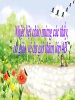 Động Từ- Lớp 4