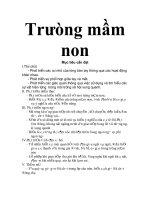 trường mầm non