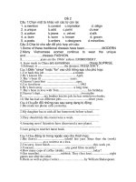 Đề ôn thi Tiếng Anh lớp 9