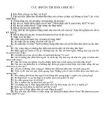 cau hoi on tap sinh 6 ky I