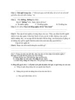 de tiéng viet lop 5 tuan 13