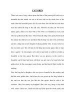 CAT-SKIN-GRIMM''''S FAIRY TALE