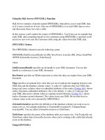 Using the SQL Server OPENXML() Function