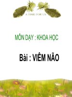 khoa hoc - viem nao
