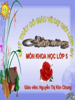 Tuần 13-Gốm xây dựng: Gạch, ngói