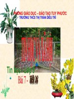 Tin học và xã hội_Tiết 26_Bài 7