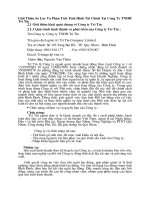 Giới Thiệu Sơ Lược Và Phân Tích Tình Hình Tài Chính Tại Công Ty TNHH Trí Tín