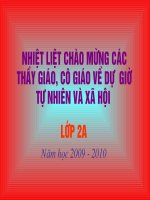 tu nhien va xa hoi tuan 8 - lop 2