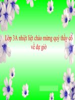 Tập đọc: TIẾNG RU