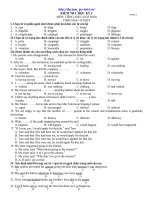 Đề mẫu HK I Anh 11_7