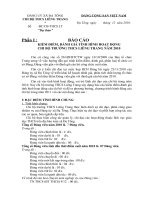 Báo cáo tổng kết chi bộ năm 2010