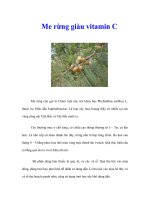 Me rừng giàu vitamin C