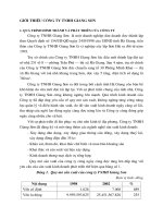 GIỚI THIỆU CÔNG TY TNHH GIANG SƠN