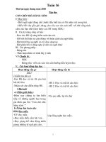 giao an lop 2 tuan 16( ckt- kns)