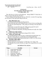 ke hoach phat thanh mang non