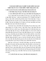 TÌNH HÌNH TRIỂN KHAI NGHIỆP VỤ BẢO HIỂM NIÊN KIM NHÂN THỌ  Ở CÔNG TY BẢO HIỂM  NHÂN THỌ QUẢNG TRỊ