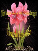 BAI 11. ĐỘ CAO CỦA ÂM(NHÚNG VIÔLET)