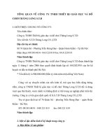 TỔNG QUAN VỀ CÔNG TY TNHH THIẾT BỊ GIÁO DỤC VÀ ĐỒ CHƠI THĂNG LONG STD