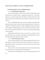 PHÂN TÍCH TÀI CHÍNH CỦA CÔNG TY TNHH PHONG PHÚC