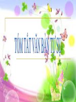 TÓM TẮT VĂN BẢN TỰ SỰ