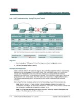 Lab 9.2.6 Troubleshooting Using Ping and Telnet