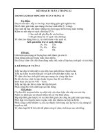 Kế hoạch tuần 2 / T12