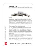 LoopStar® 700 Ethernet and TDM Services Over Fiber to Multiple Customers and Locations