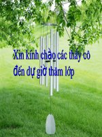 chat ran ket tinh