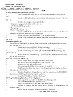 Kế hoạch CĐ tháng 11-2010