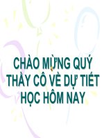 Amin, Aminoaxit và protein