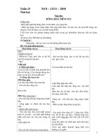 Giáo án lớp2 Tuần 13CKTKN+KNS