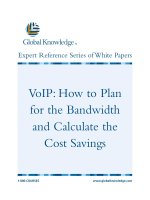 VoIP: How to Plan for the Bandwidth and Calculate the Cost Savings