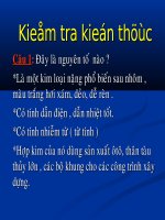 Cấu tạo và tính chất sắc