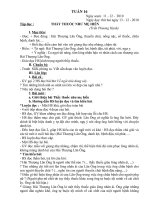 GIÁO ÁN LỚP 5 TUẦN 16 (KNS)