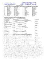 kiem tra HK I Anh 9 hot