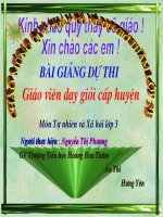Hoạt động sản xuất nông nghiệp