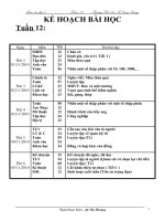 giáo án tuấn 12- CKTKN-BVMT_kNS