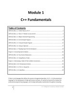 Module 1 C++ Fundamentals