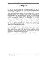 Phương thức các doanh nghiệp phát hành chứng khoán 