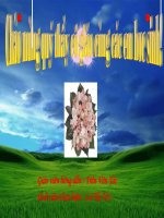 Bai  27. Danh nhau voi coi xay gio