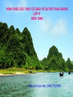 ho hap va cac co quan ho hap